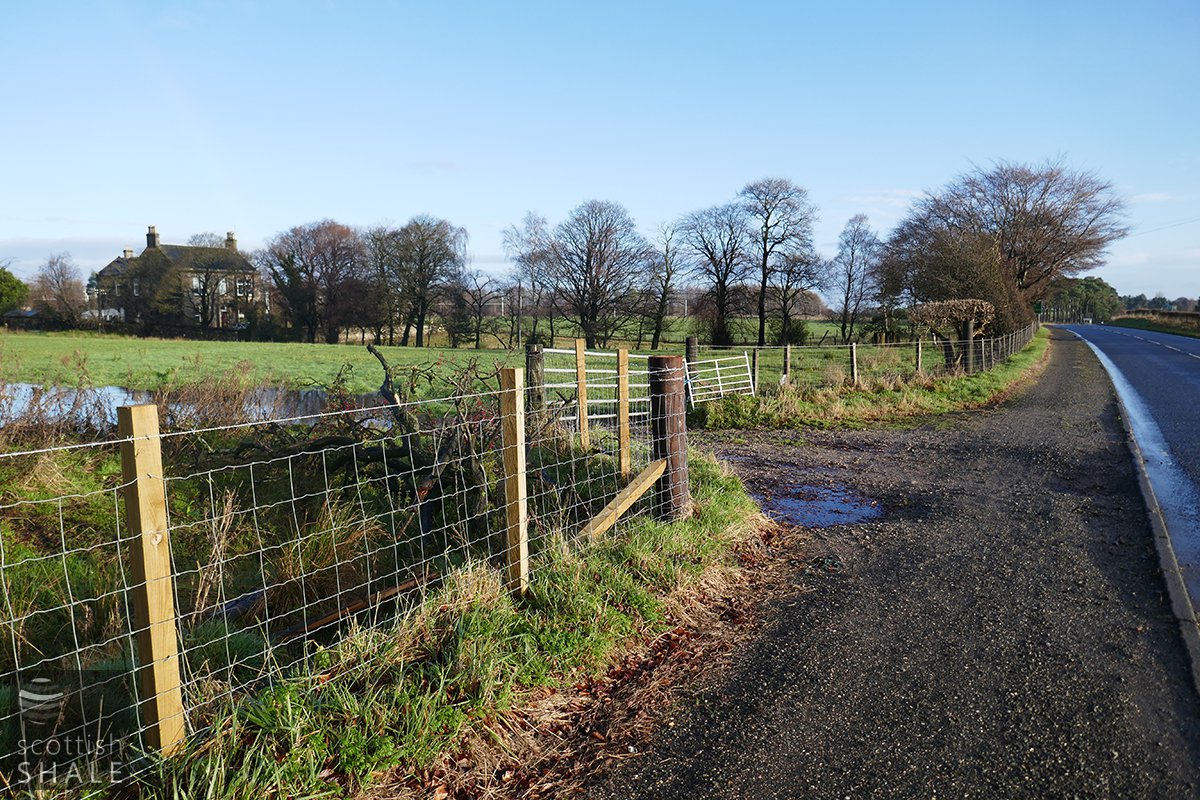 P1000505.jpg