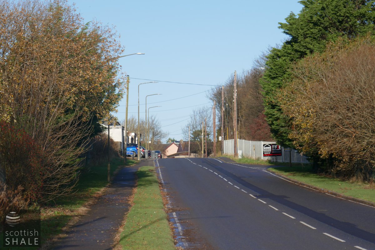P1000549.jpg