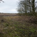 Route of railway, looking east from the point that the line would have crossed the Hallyards to West Ingliston Road