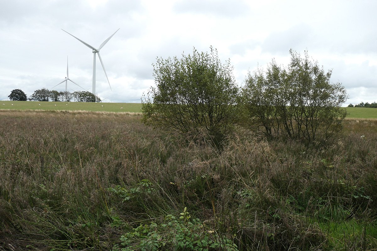 Westrigg No.1 pit