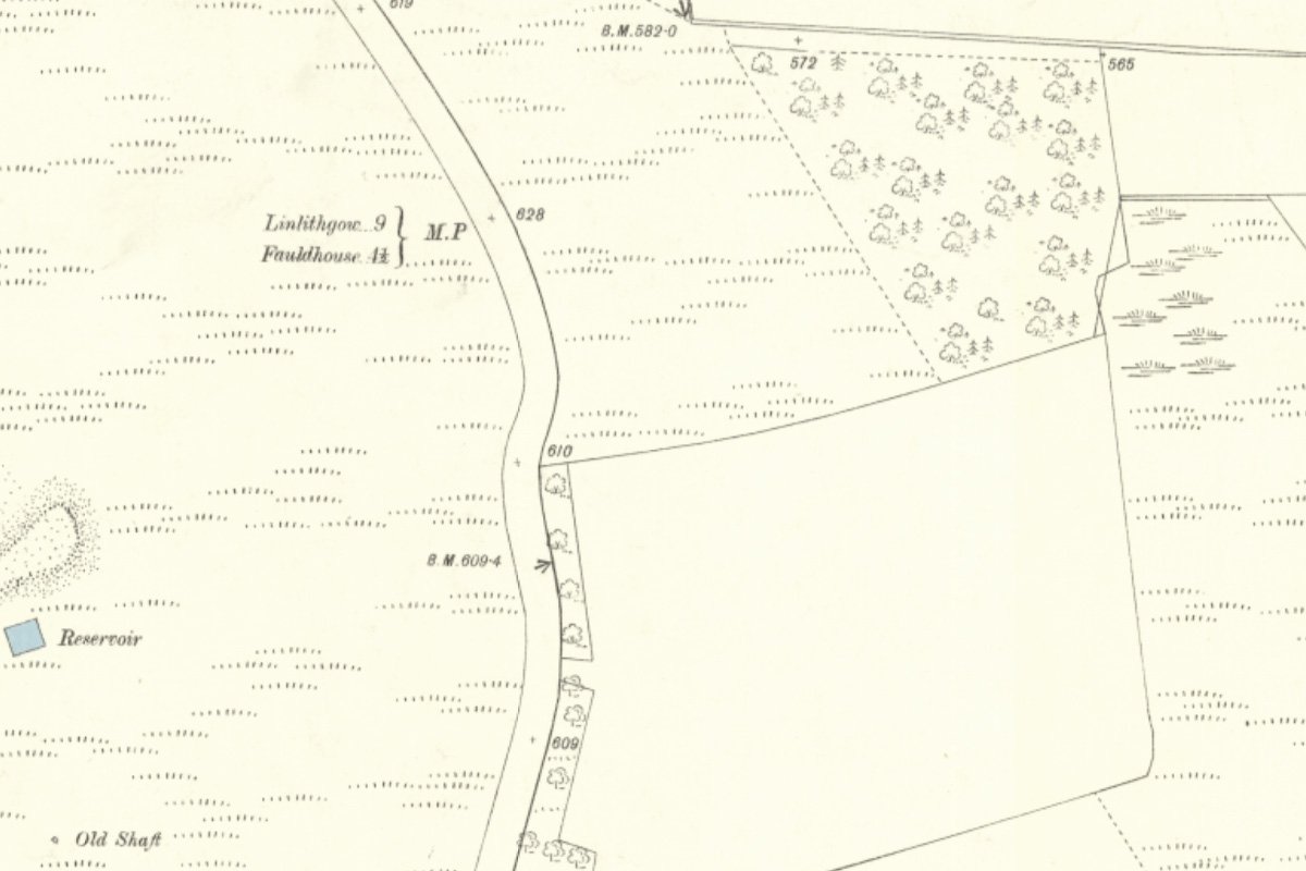 Torbanehill 11 1895