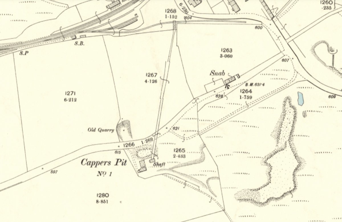 cappers No.1 1895