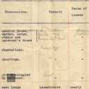 t194816.jpg