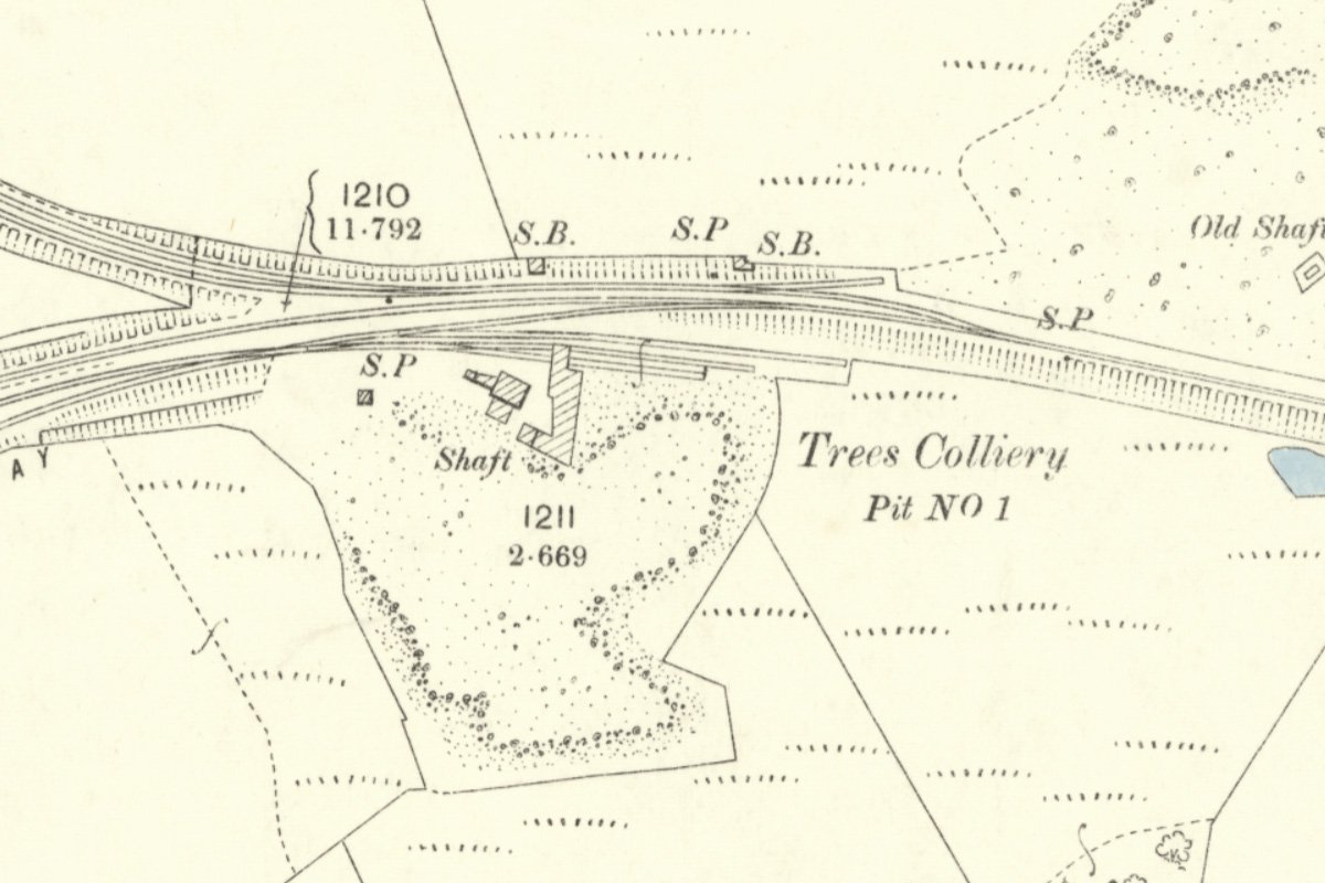 trees 1 1895.jpg