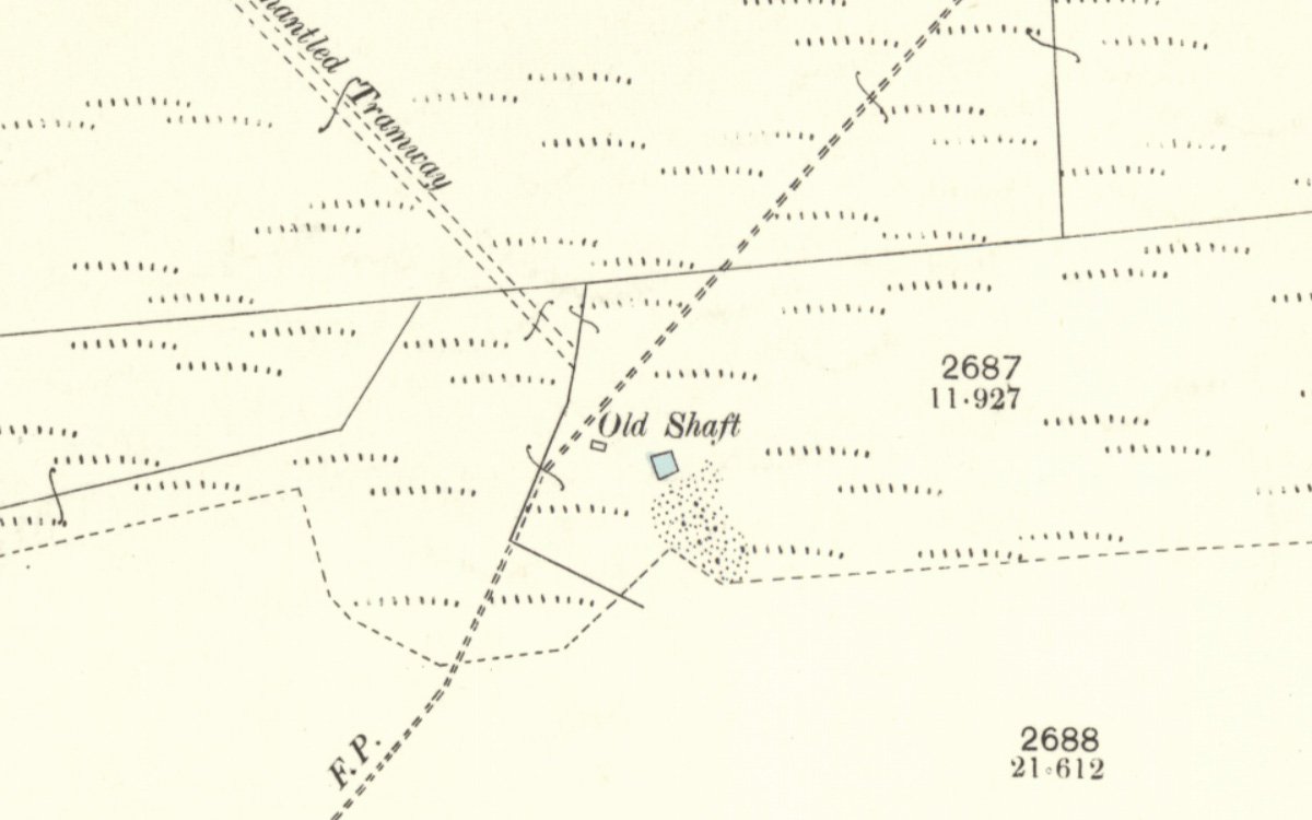 westrigg 1 1895